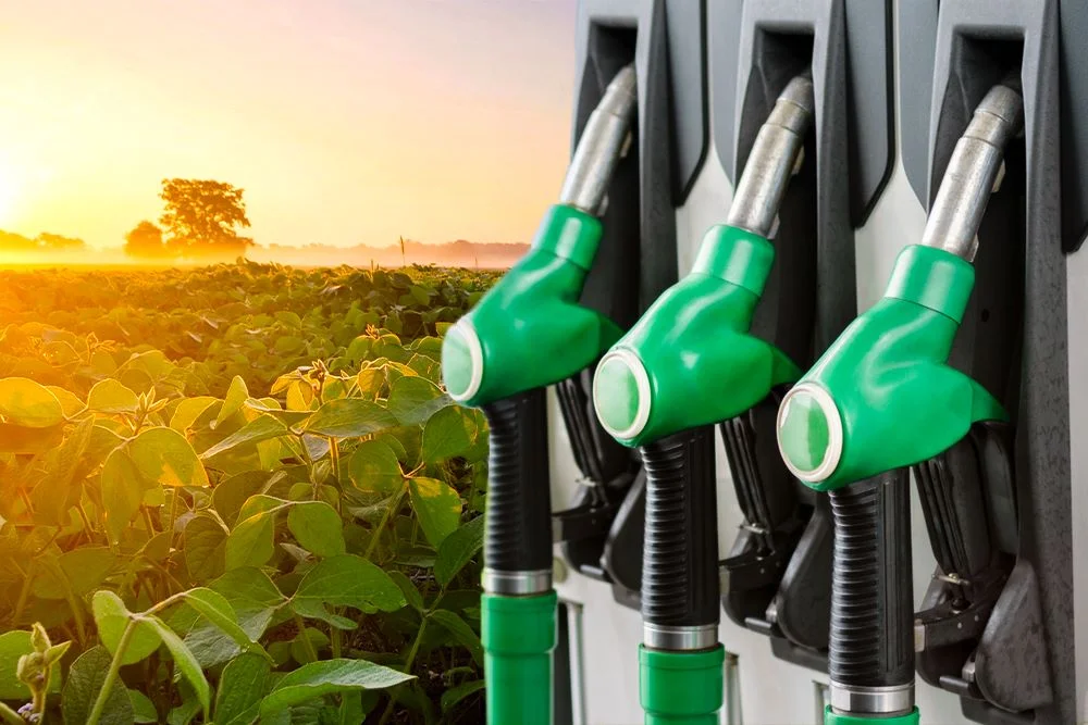 CI debaterá programas de incentivo ao uso de biocombustíveis